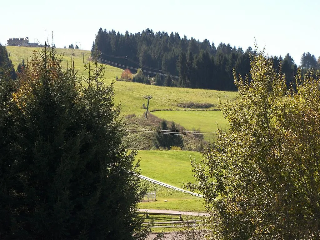 Otel Albergo La Baita Asiago